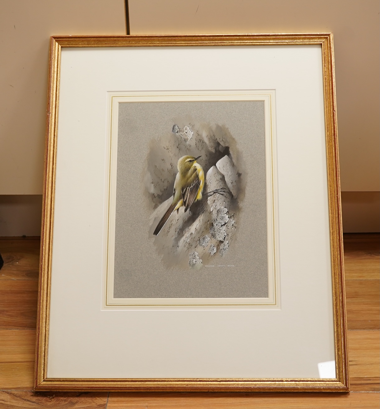 Terrence James Bond (b.1946), Yellow wagtail, signed, watercolour, 34 x 25cm